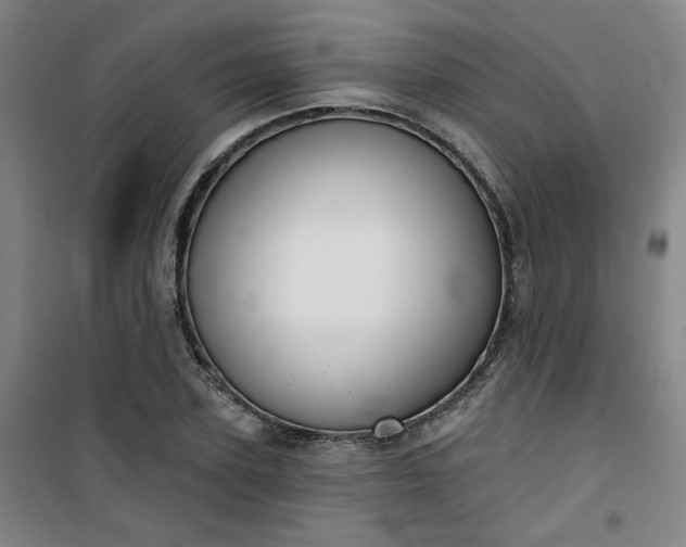 X0000101140931200807110939