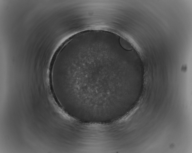 X0000101140932200807110939