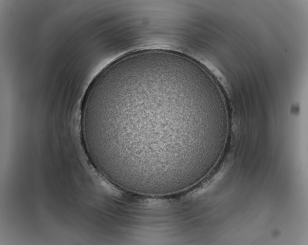 X0000101140933200807110939