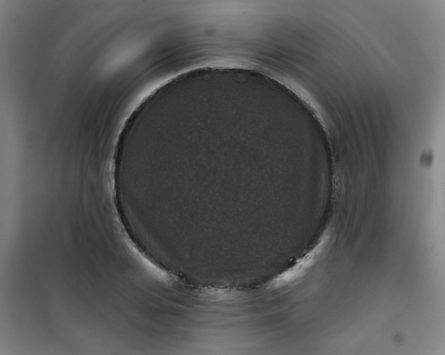 X0000101140935200807110939