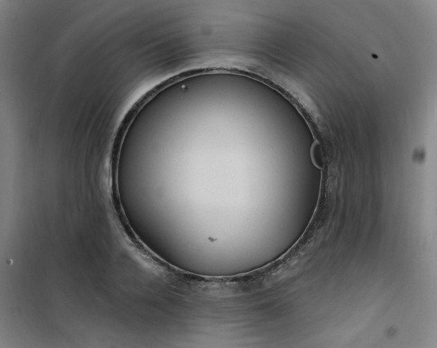 X0000101140936200807110939