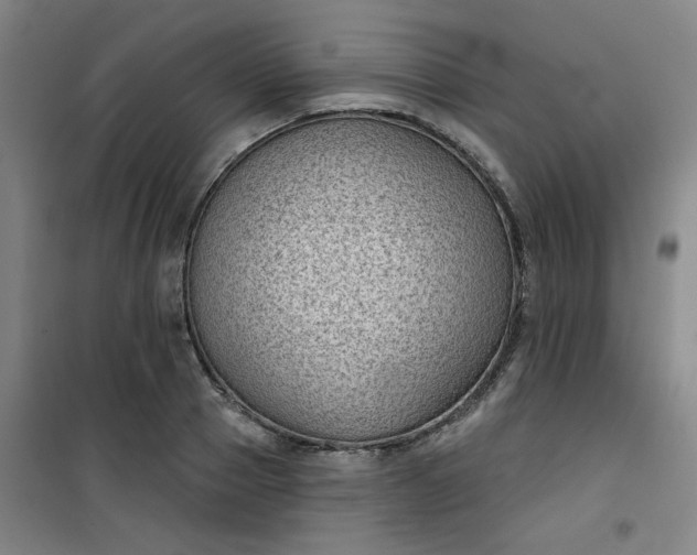 X0000101140937200807110939