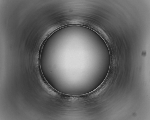 X0000101140938200807110939