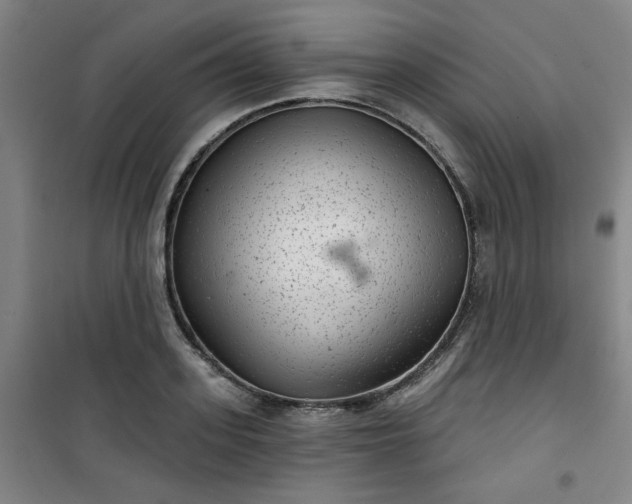 X0000101140939200807110939