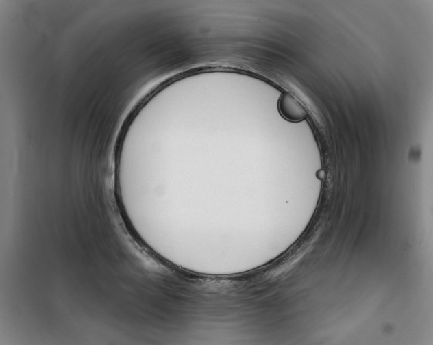 X0000101140940200807110939