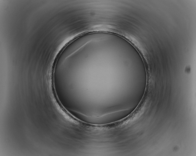 X0000101140941200807110939