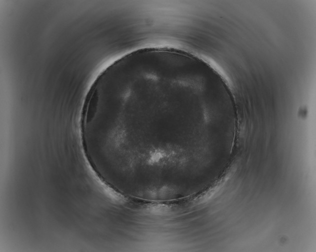 X0000101140943200807110939