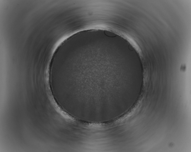 X0000101140944200807110939