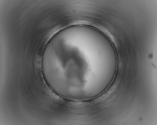 X0000101140945200807110939