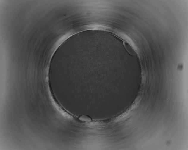 X0000101140946200807110939