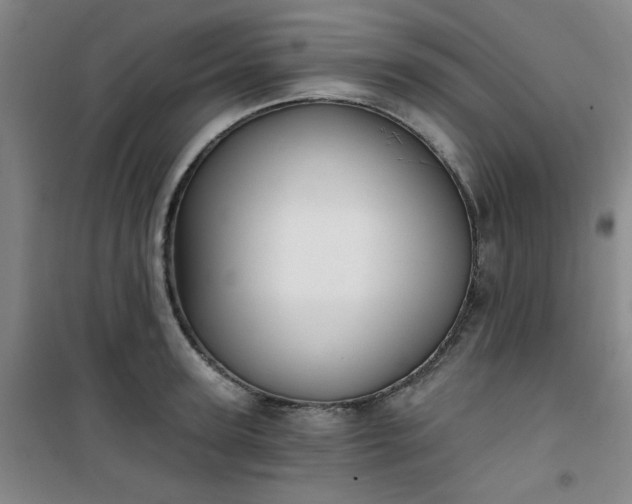 X0000101140947200807110939