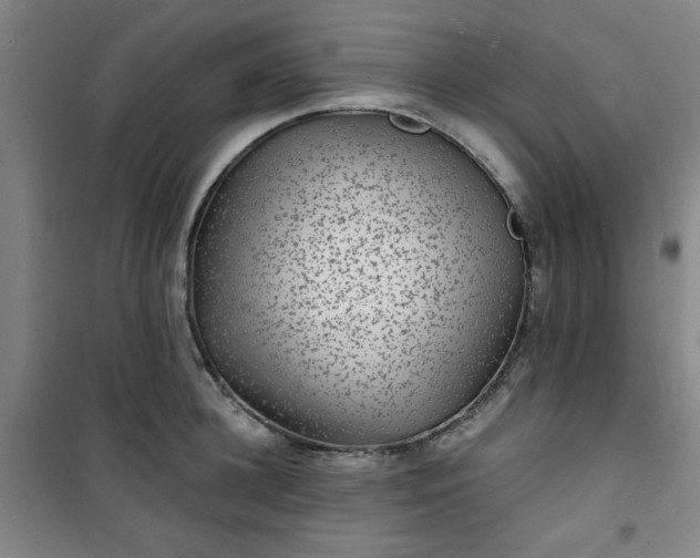 X0000101140948200807110939