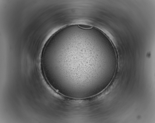 X0000101140949200807110939