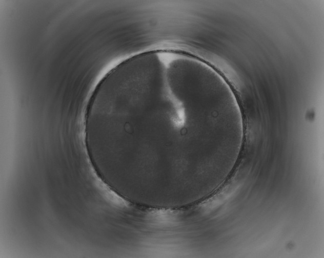 X0000101140950200807110939