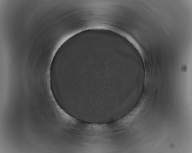 X0000101140951200807110939