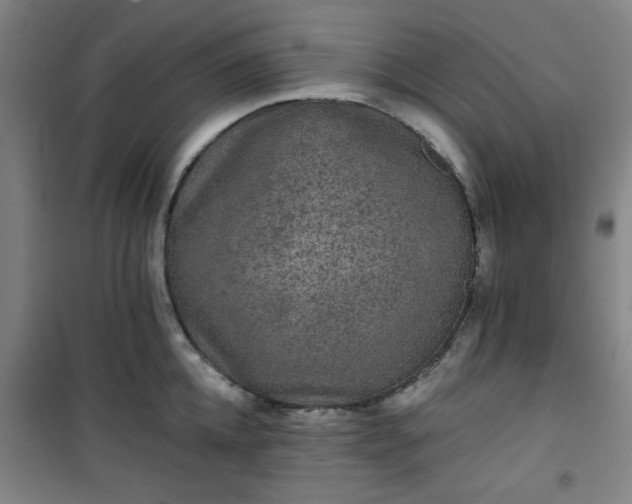 X0000101140952200807110939