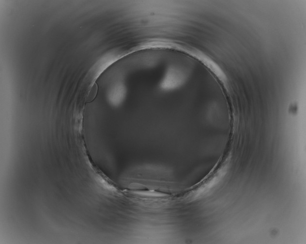 X0000101140953200807110939