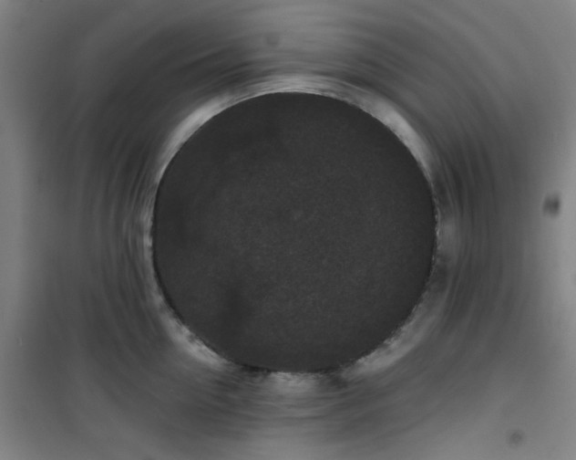 X0000101140954200807110939