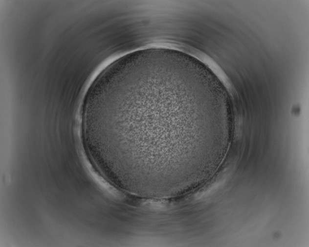 X0000101140955200807110939