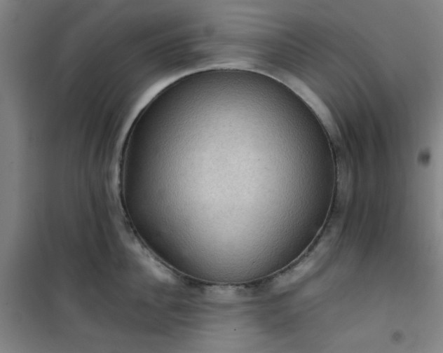 X0000101140956200807110939