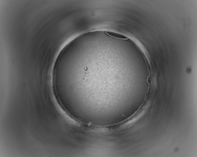 X0000101140957200807110939