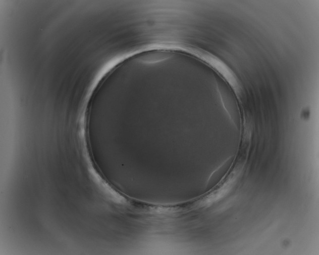 X0000101140958200807110939