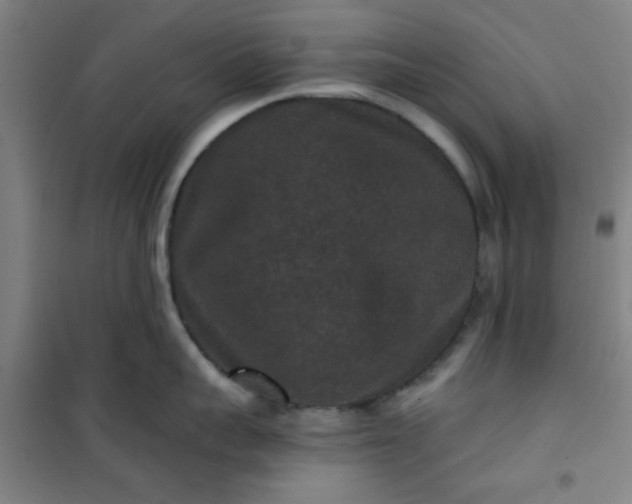 X0000101140959200807110939