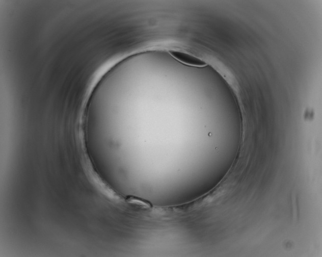 X0000101140960200807110939