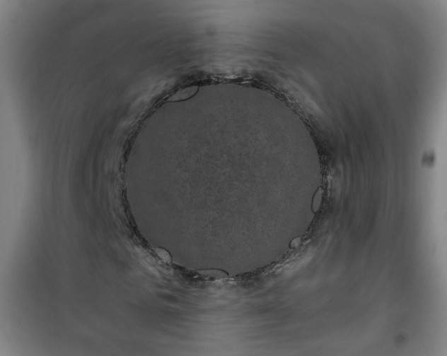 X0000101140961200807110938