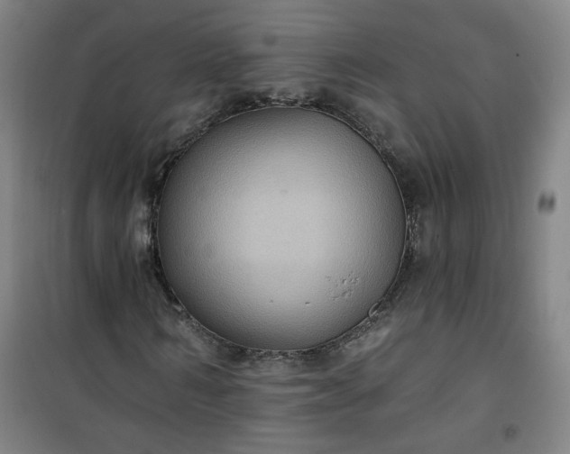 X0000101140962200807110938