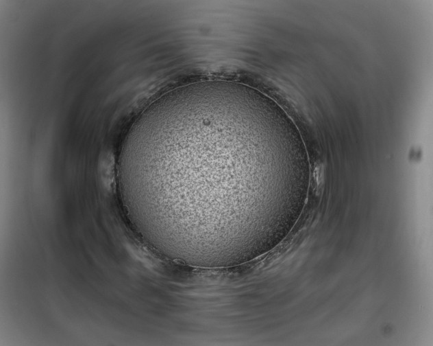 X0000101140963200807110938