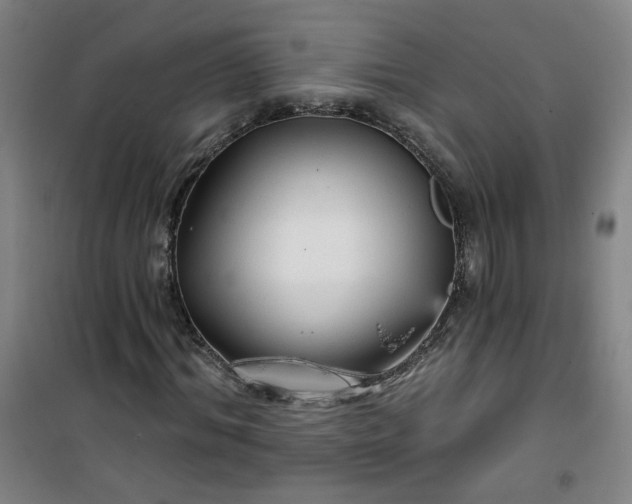 X0000101140964200807110938