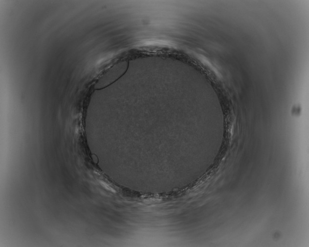 X0000101140965200807110938