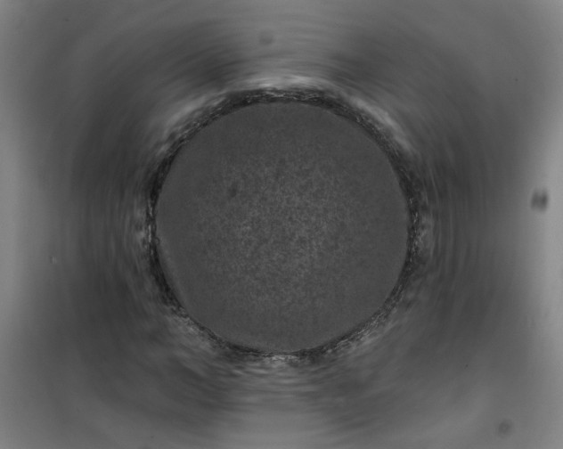 X0000101140966200807110938