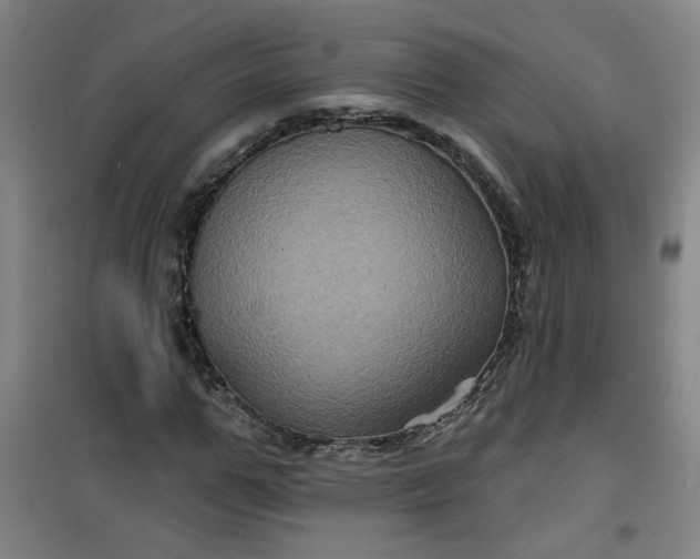 X0000101140967200807110938