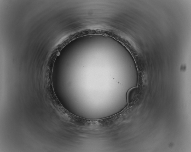 X0000101140968200807110938