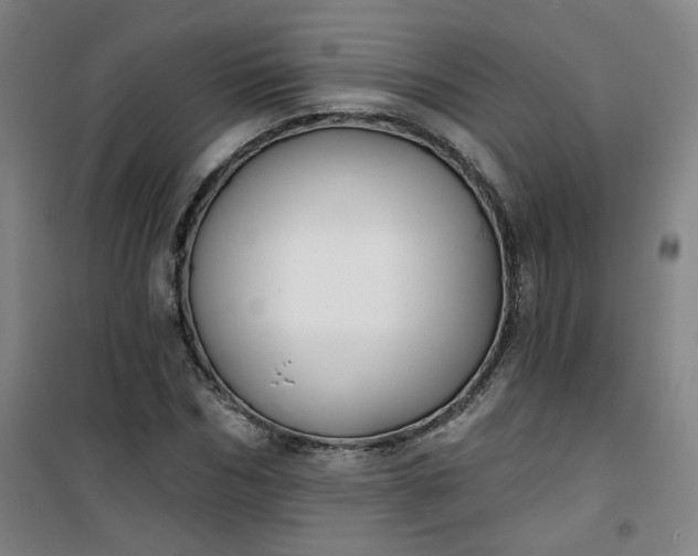 X0000101140970200807110938