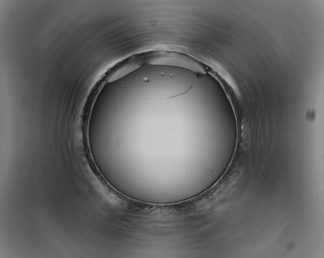 X0000101140972200807110938