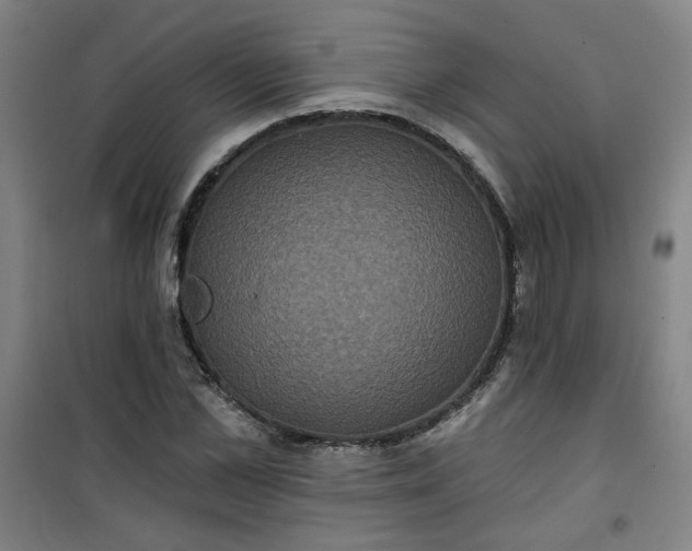 X0000101140973200807110938