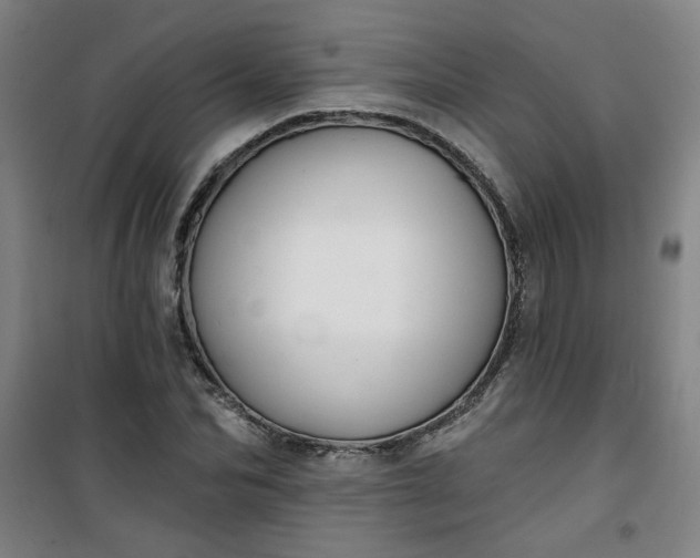 X0000101140974200807110938