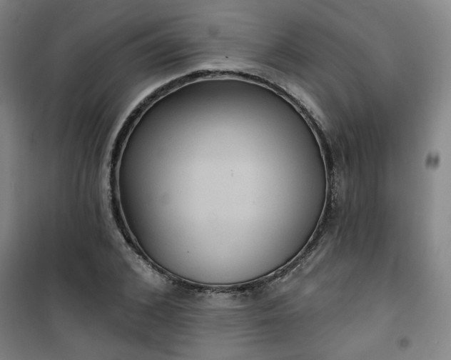 X0000101140976200807110938