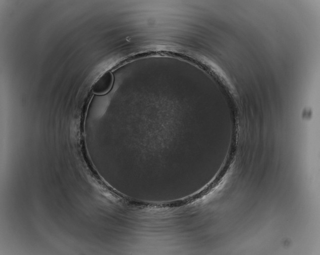 X0000101140977200807110938