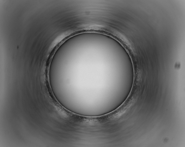 X0000101140978200807110938