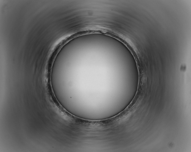 X0000101140979200807110938