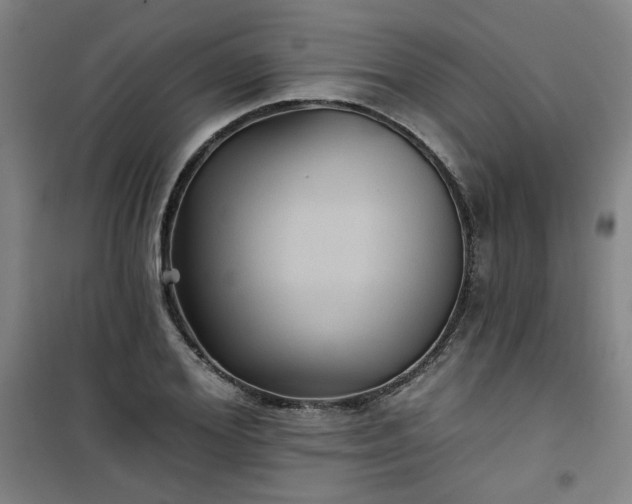 X0000101140980200807110938