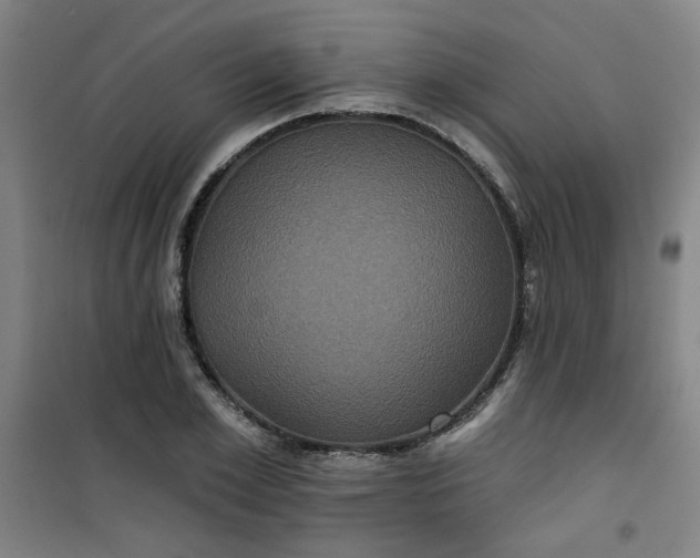 X0000101140981200807110938