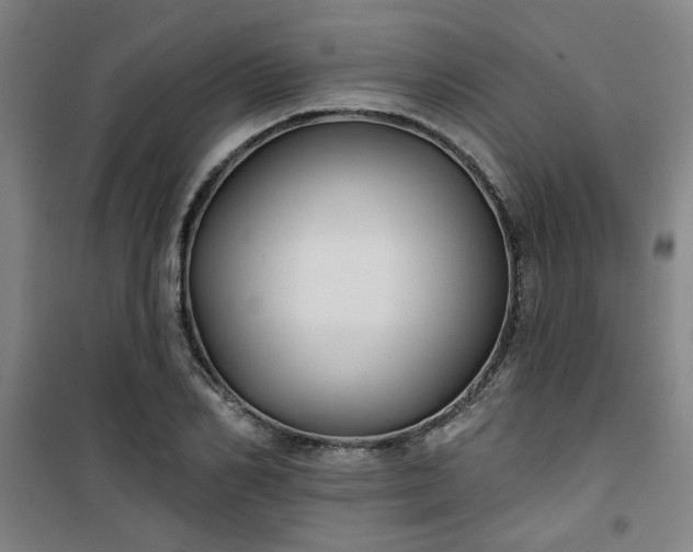 X0000101140982200807110938