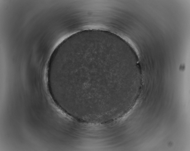 X0000101140983200807110938