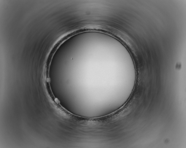 X0000101140984200807110938