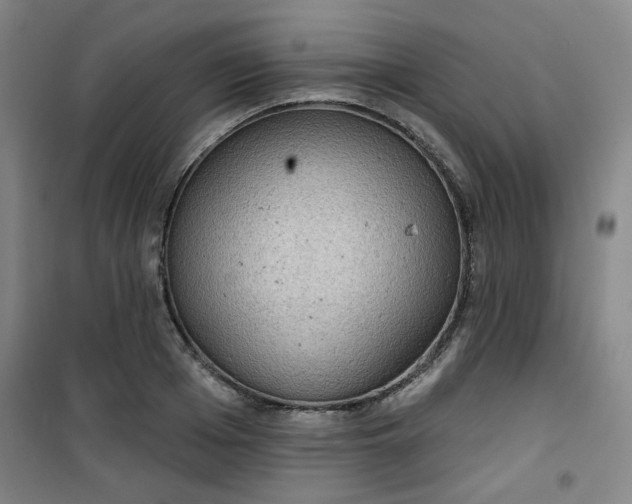 X0000101140985200807110938